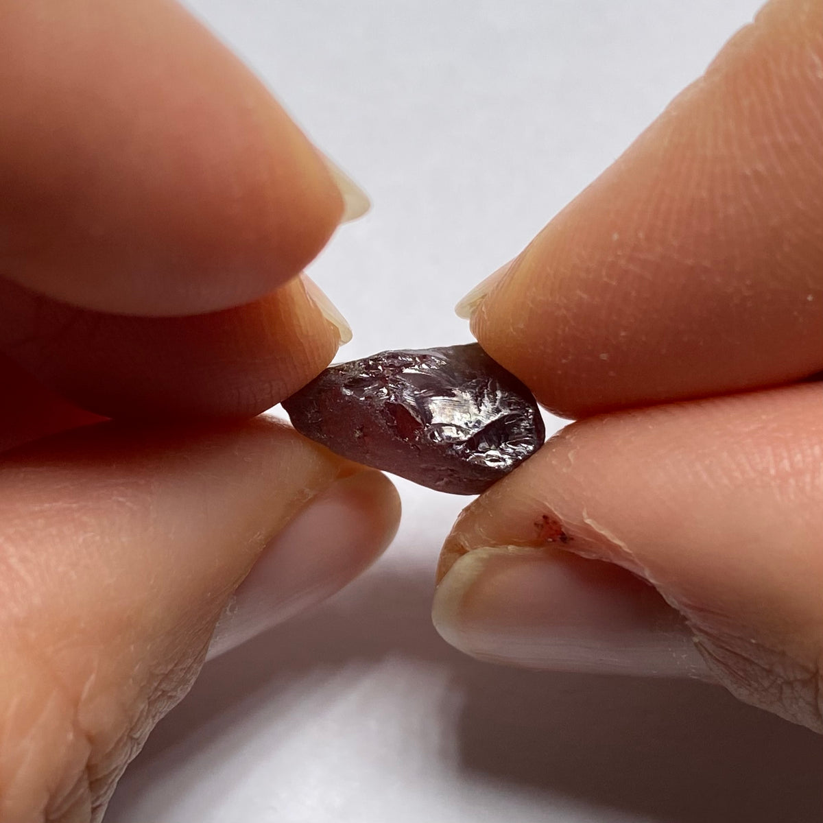 Mozambique Zircon