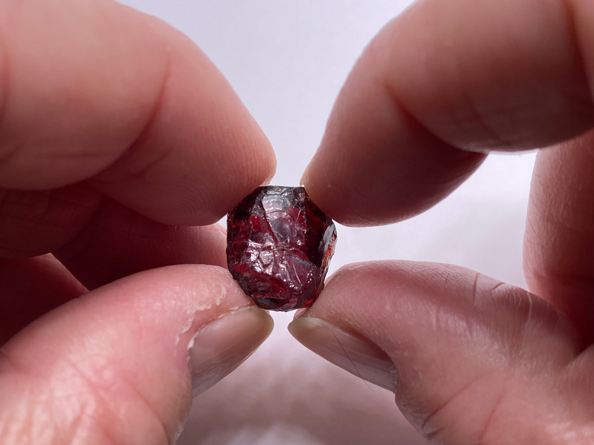 Chrome Pyrope - Mozambique