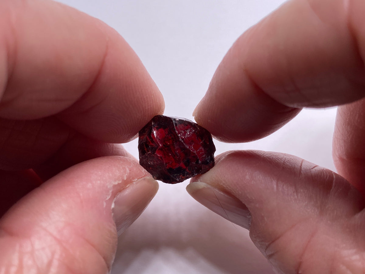Chrome Pyrope - Mozambique
