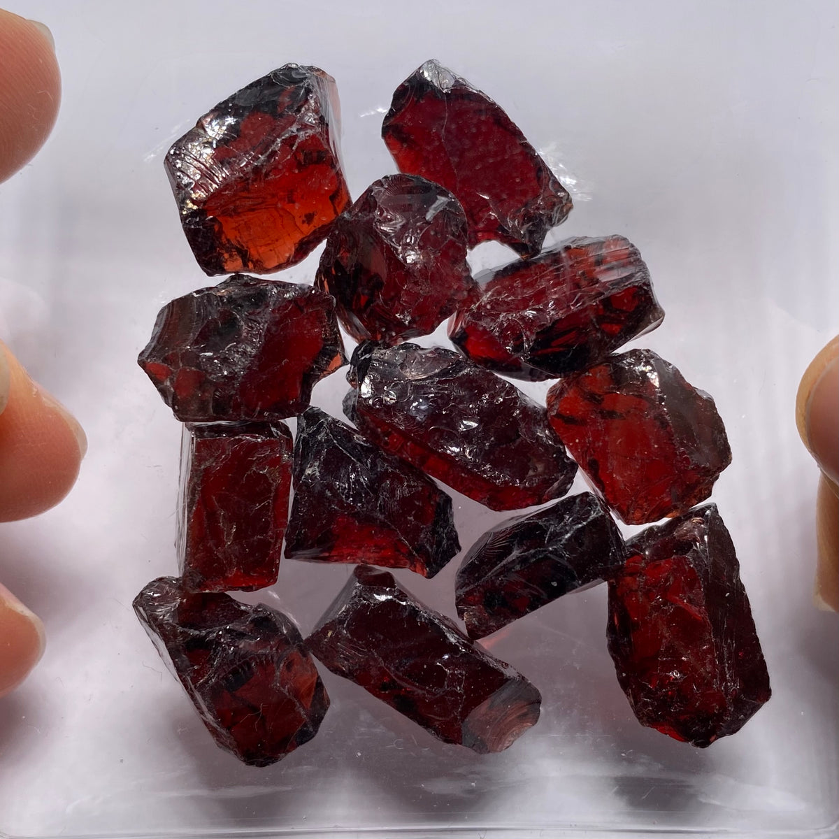 Chrome Pyrope - Mozambique
