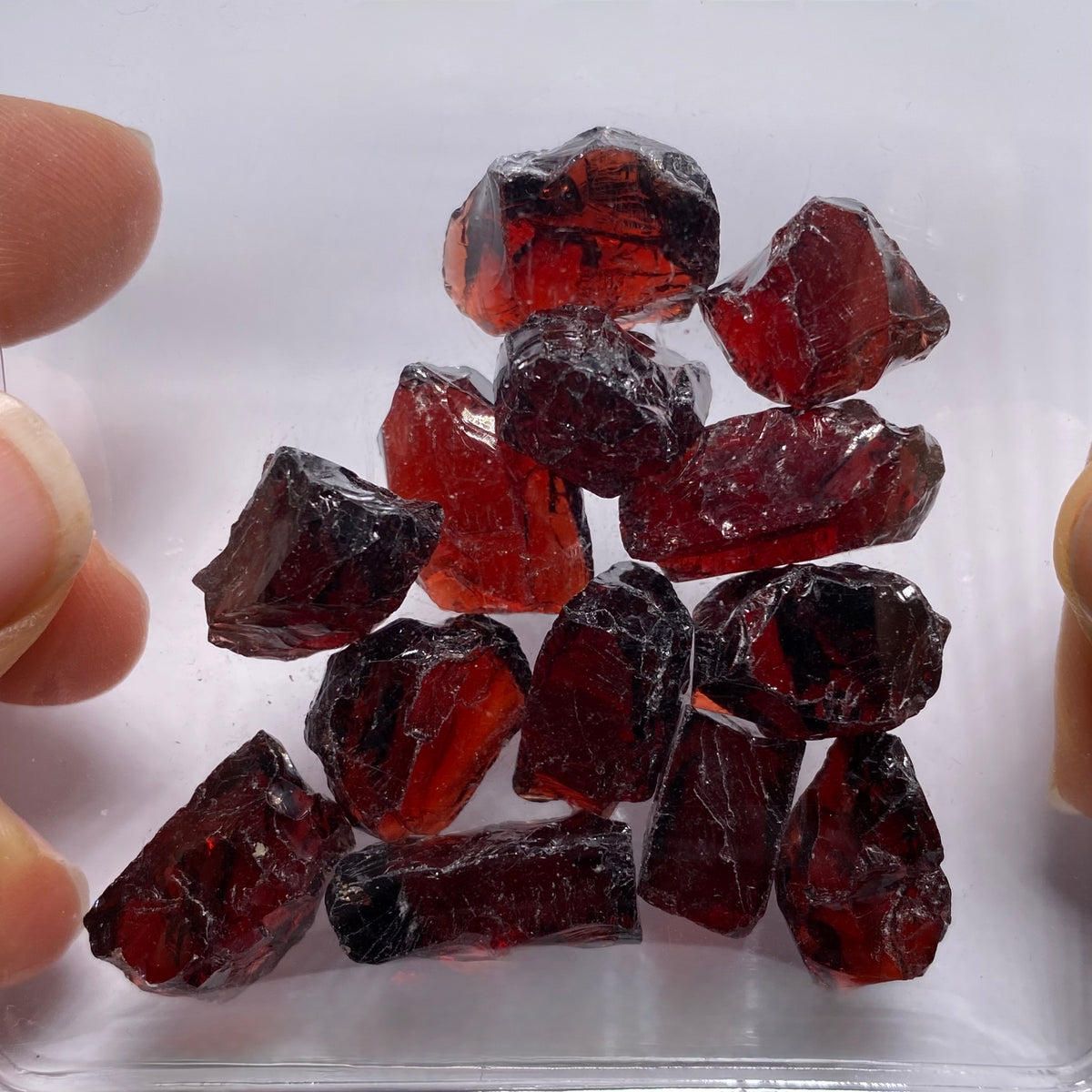 Chrome Pyrope - Mozambique