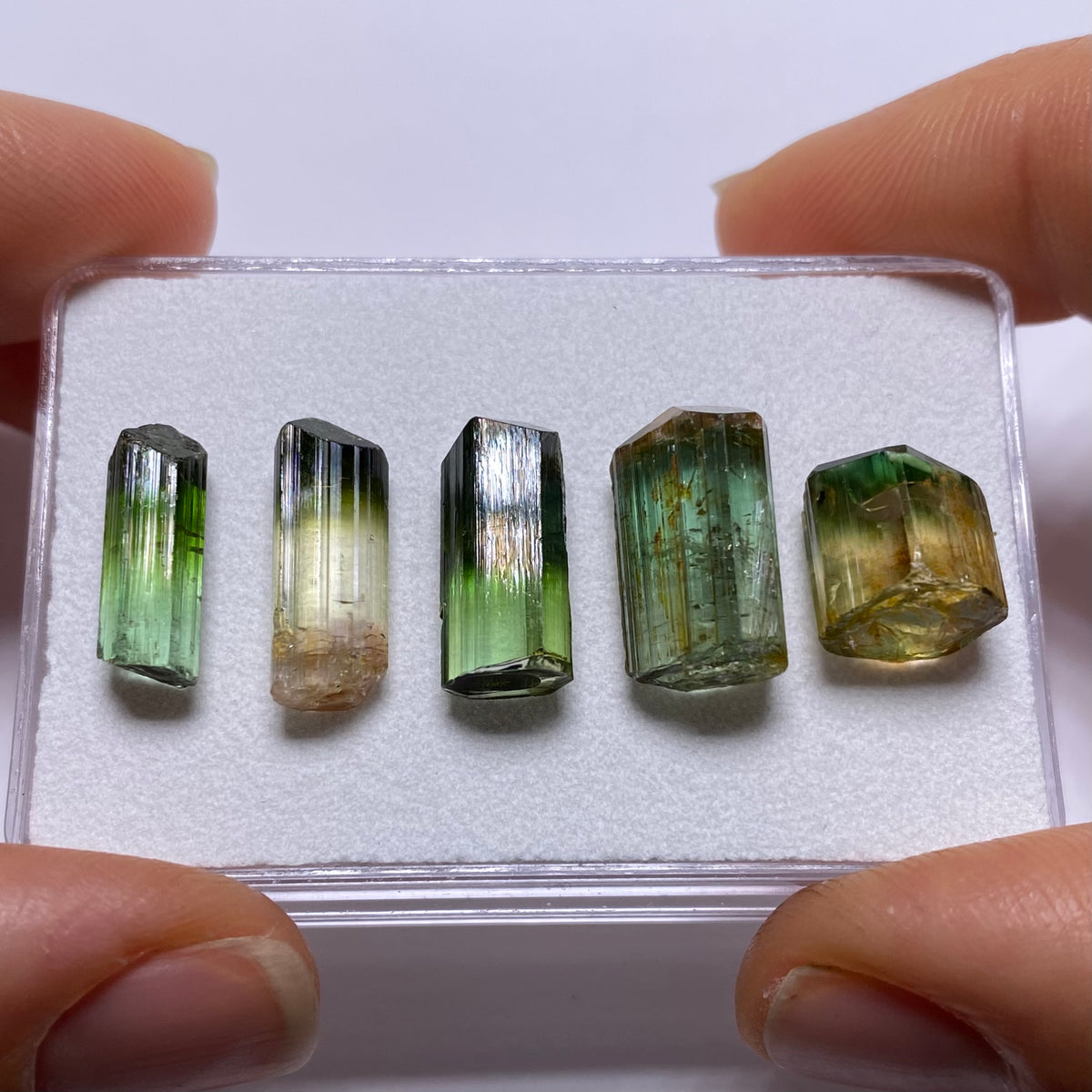 Bi-Color Tourmaline Crystals - Congo
