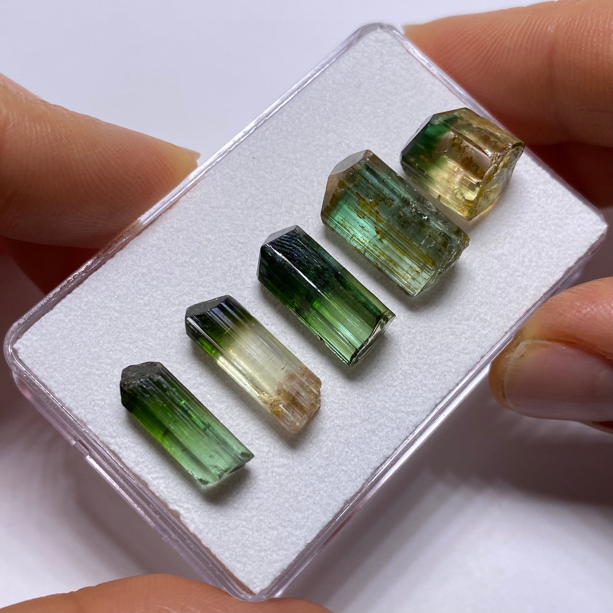Bi-Color Tourmaline Crystals - Congo