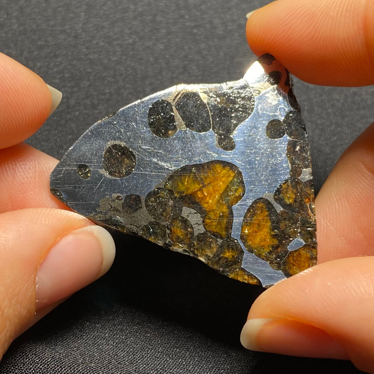 Brenham Pallasite - Kansas , USA