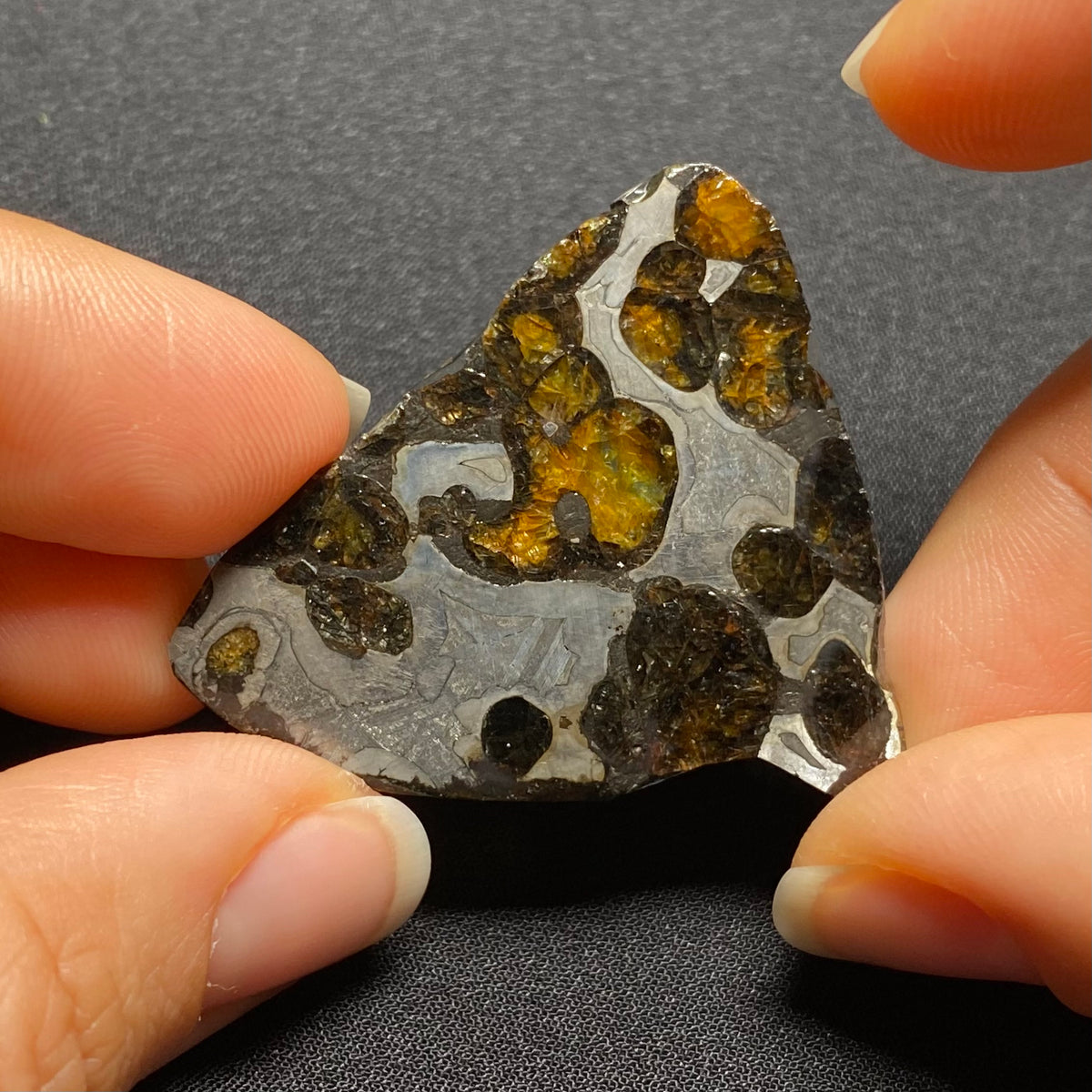 Brenham Pallasite - Kansas , USA