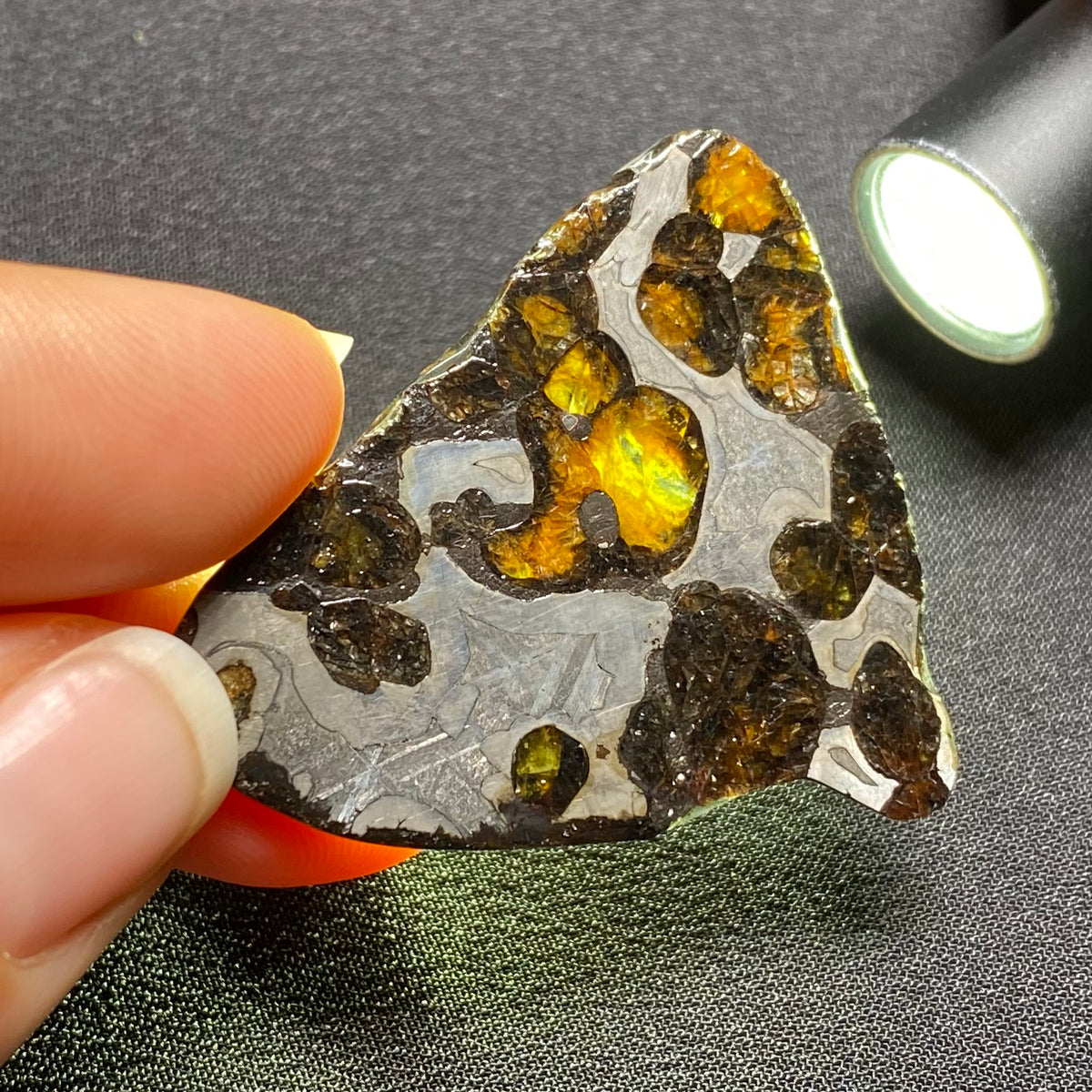 Brenham Pallasite - Kansas , USA