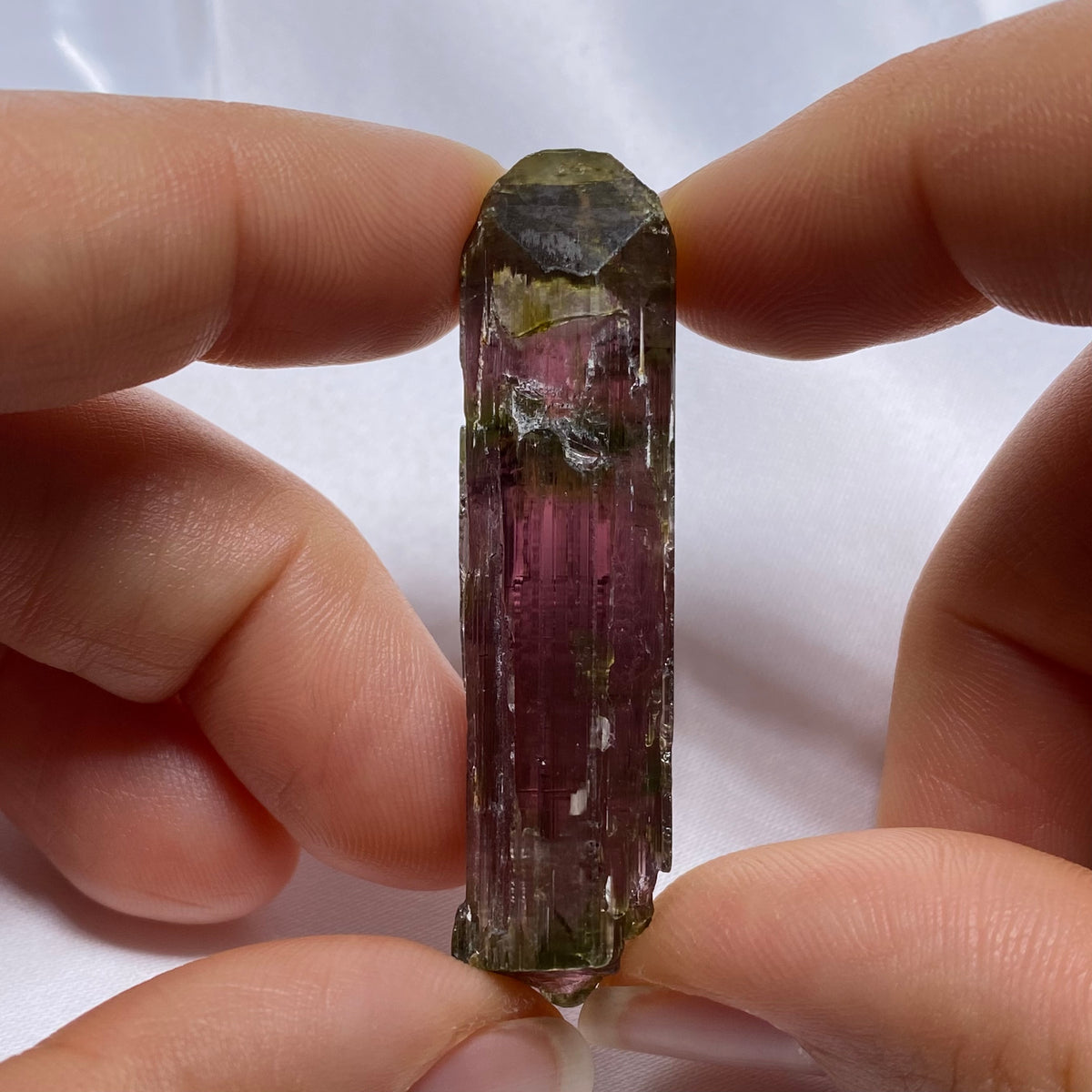 Tourmaline Crystal -  Brazil