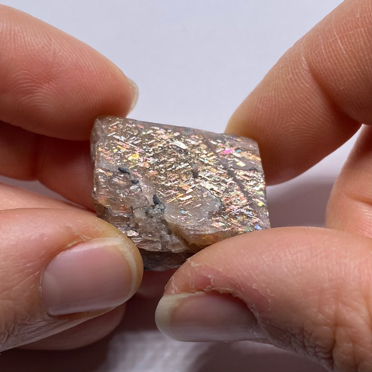 Lattice Sunstone - Tanzania