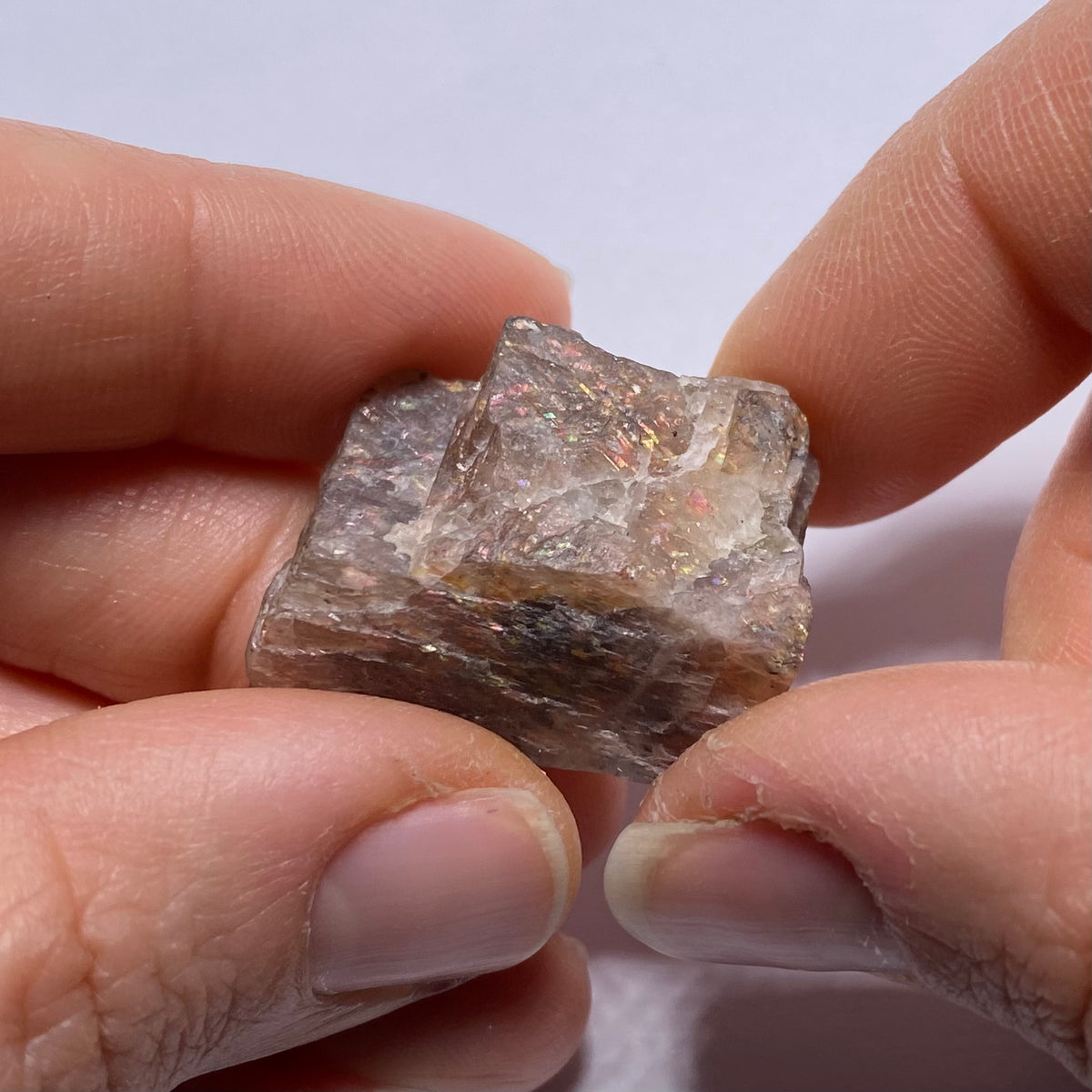 Lattice Sunstone - Tanzania