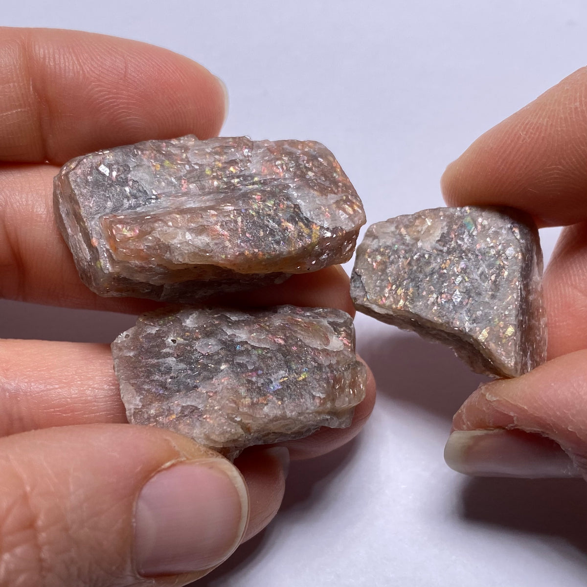Lattice Sunstone - Tanzania