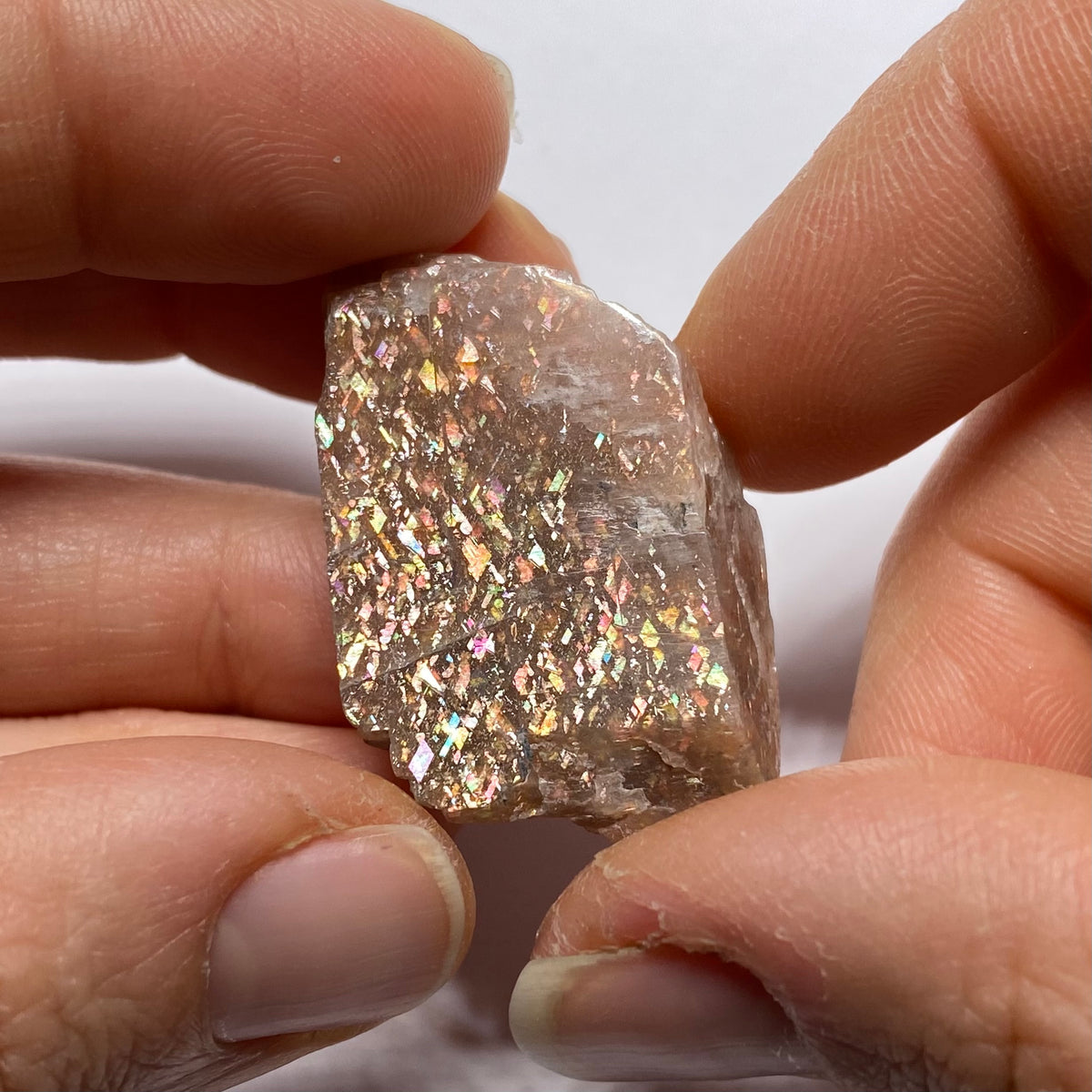 Lattice Sunstone - Tanzania