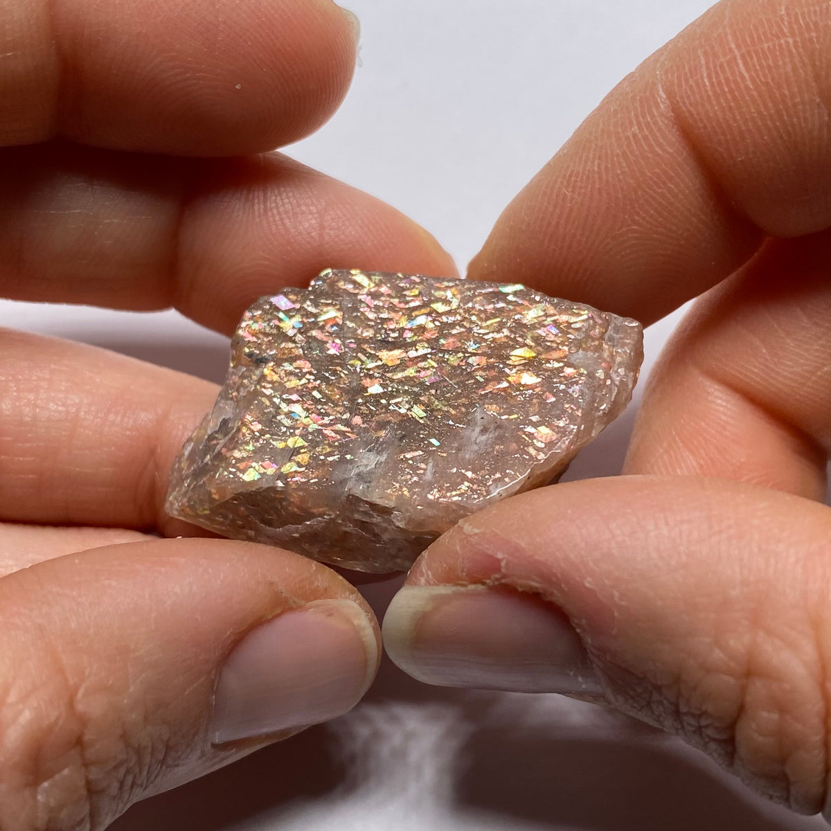 Lattice Sunstone - Tanzania