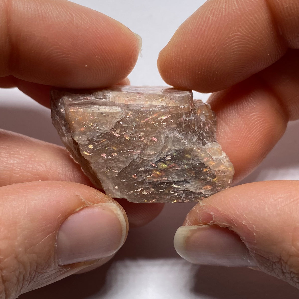 Lattice Sunstone - Tanzania