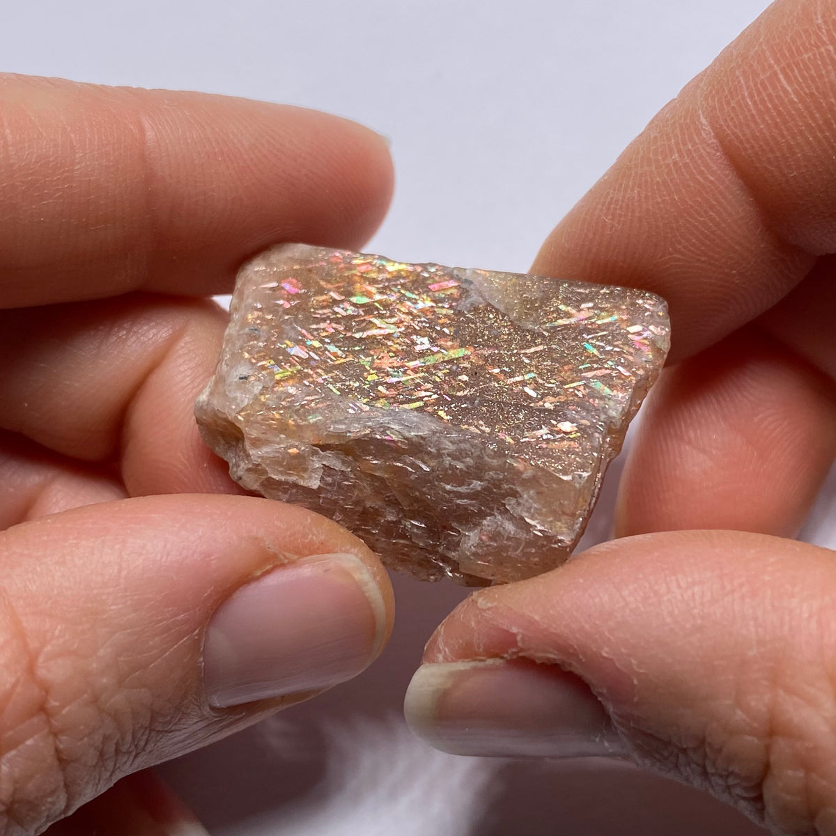 Lattice Sunstone - Tanzania