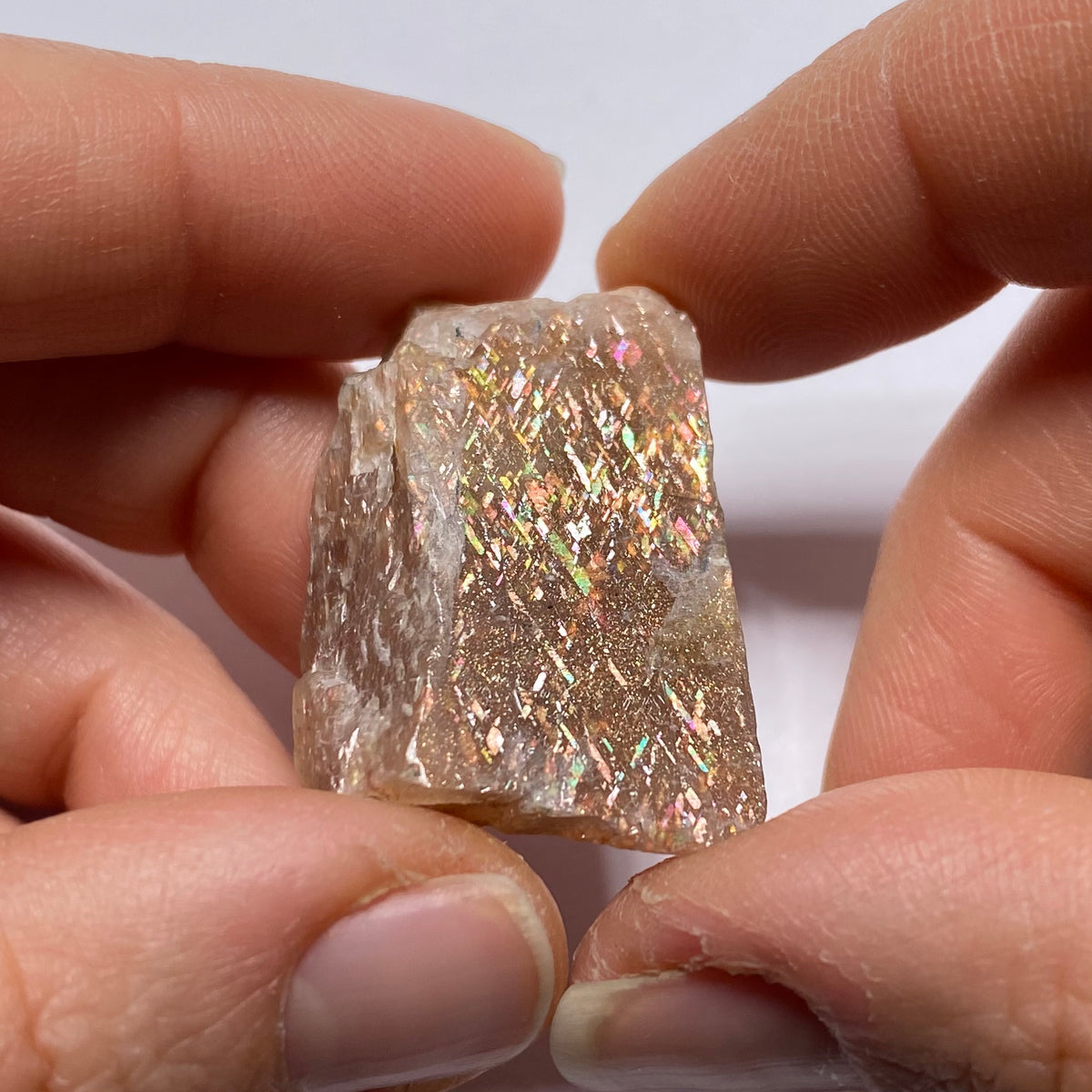 Lattice Sunstone - Tanzania