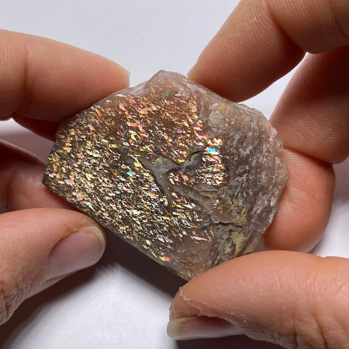 Lattice Sunstone - Tanzania