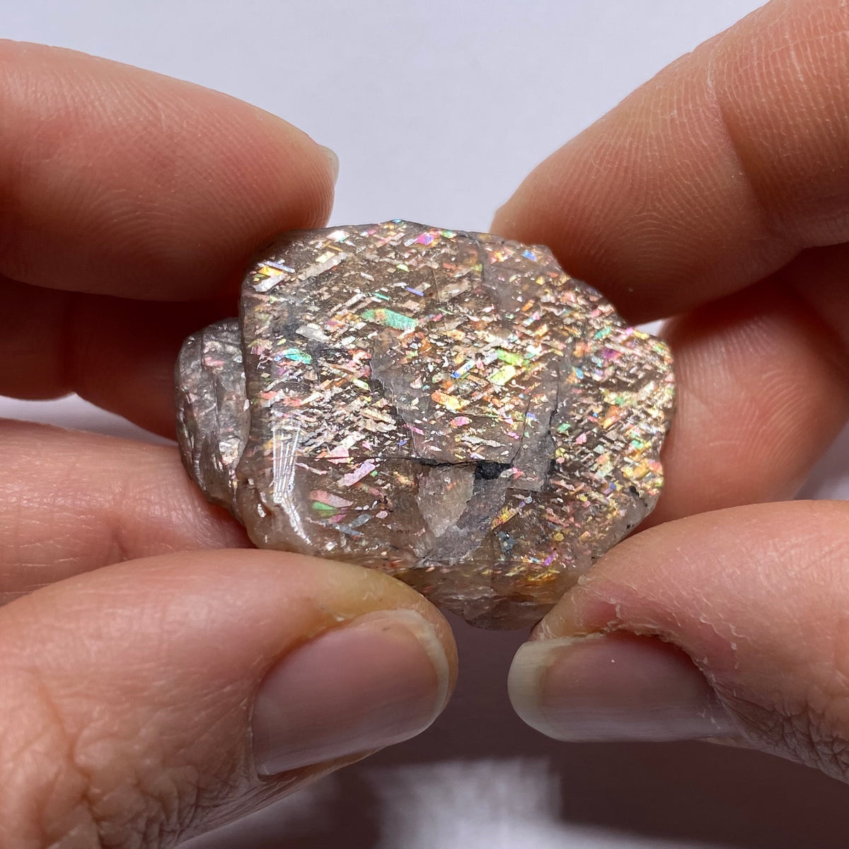 Lattice Sunstone - Tanzania