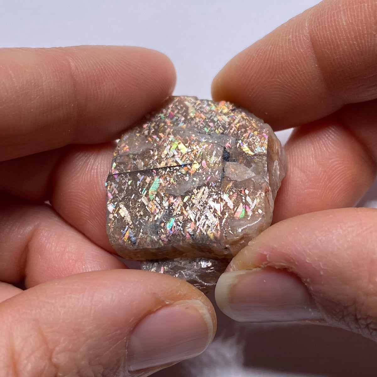 Lattice Sunstone - Tanzania