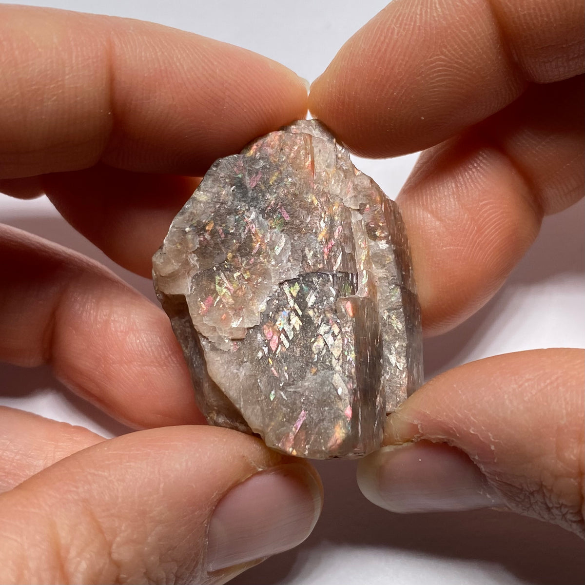 Lattice Sunstone - Tanzania