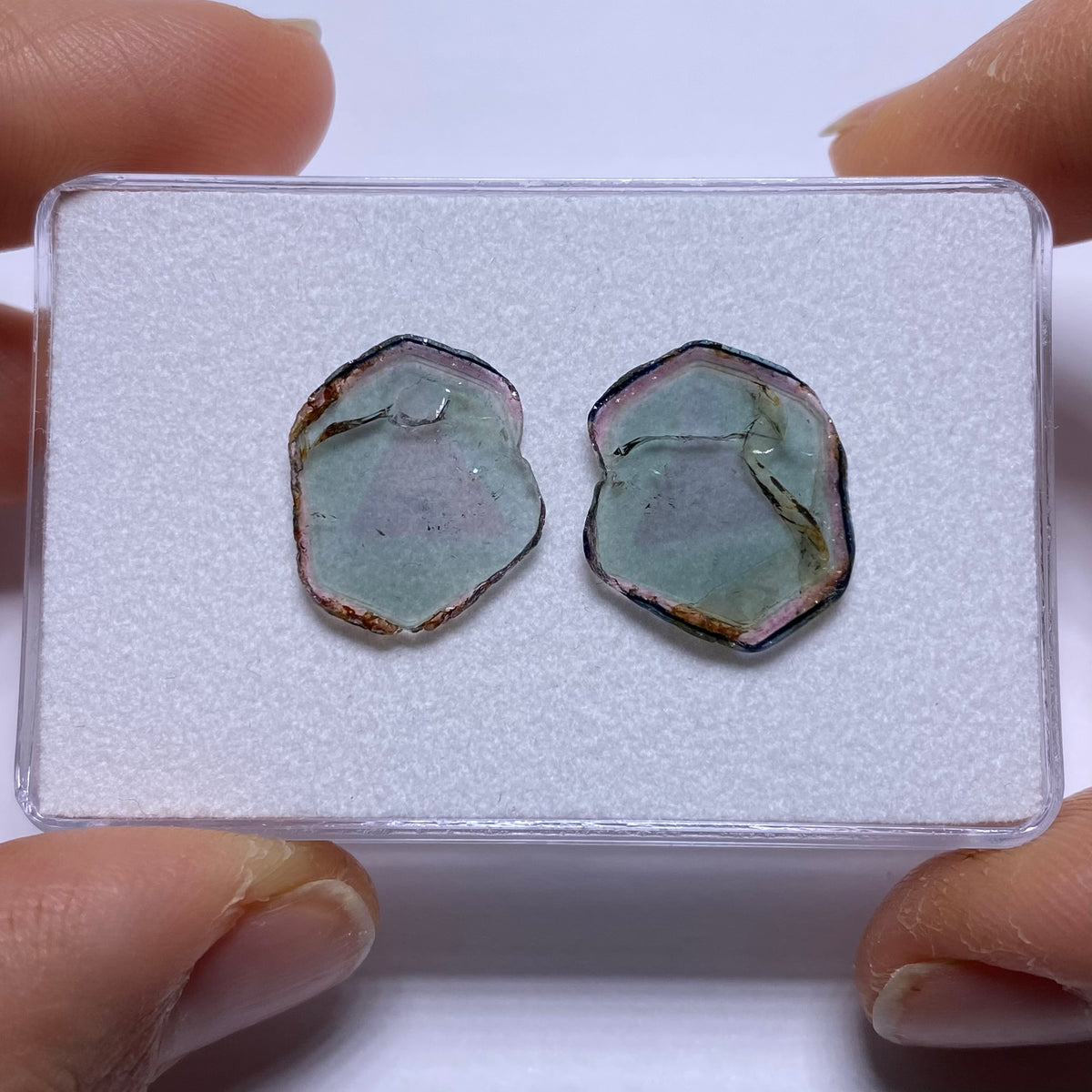 Tourmaline Slices - Brazil