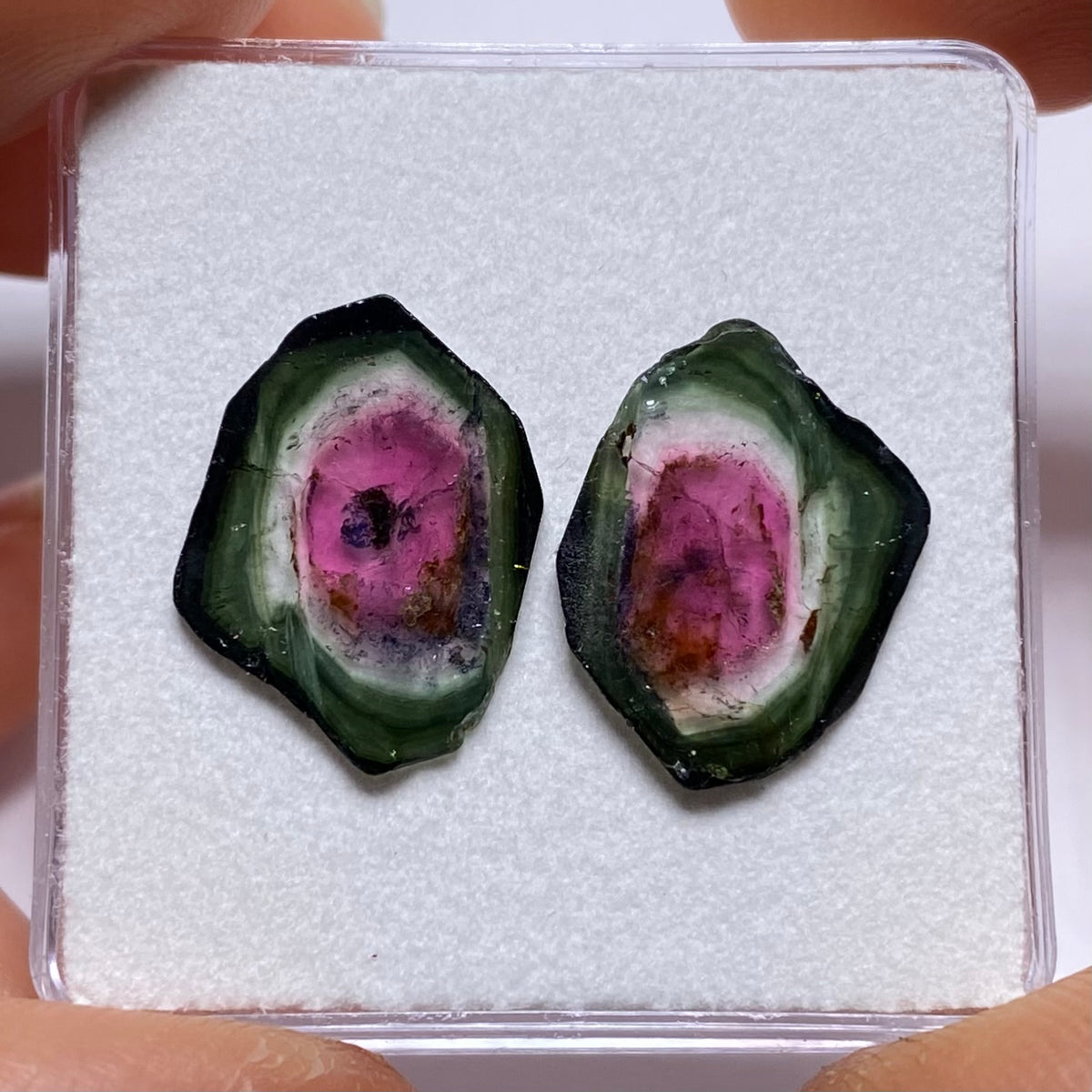 Old-Stock Watermelon Tourmaline Slices - Brazil