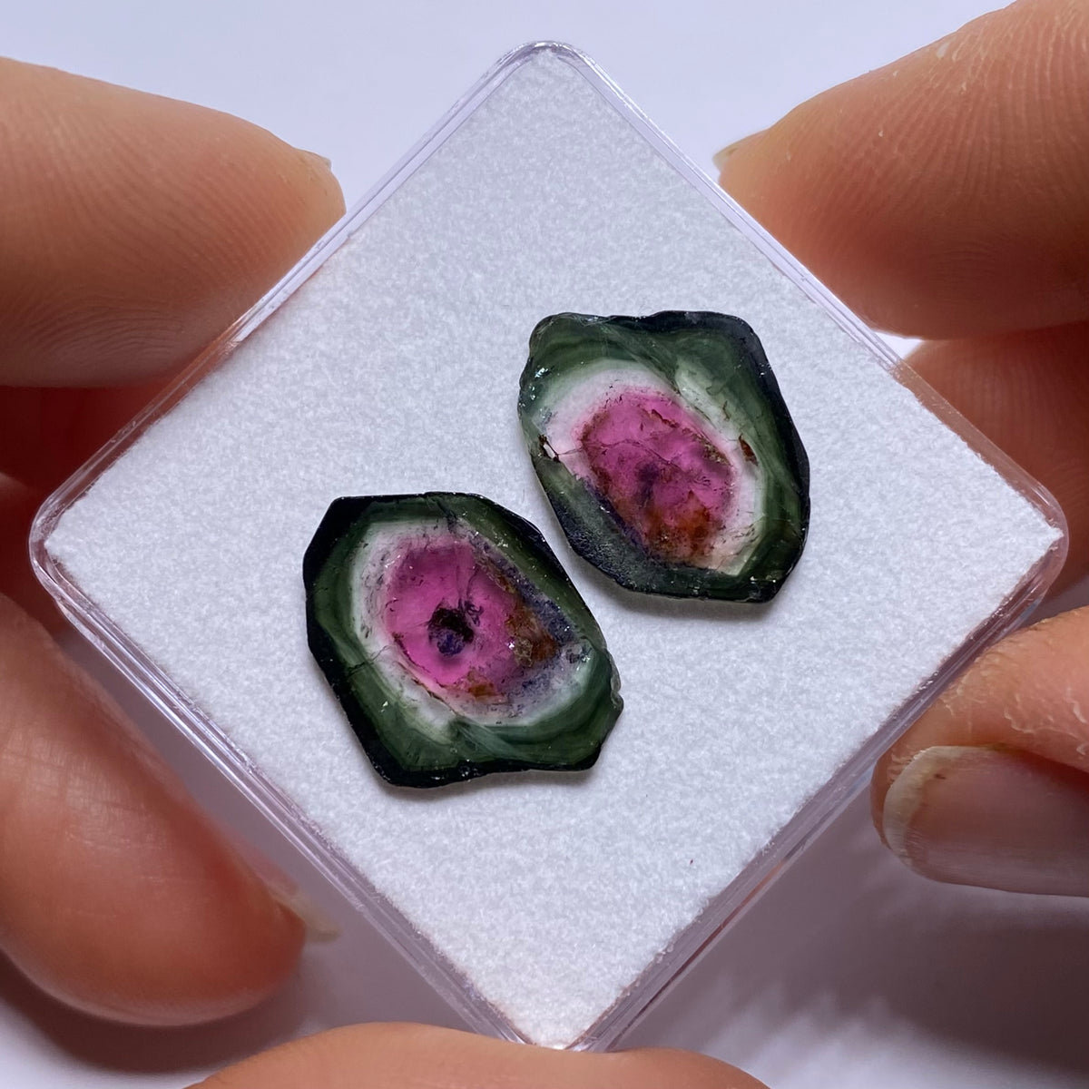 Old-Stock Watermelon Tourmaline Slices - Brazil