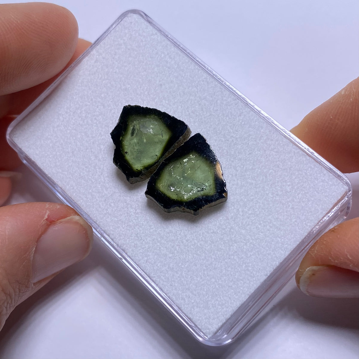 Old-Stock Watermelon Tourmaline Slices - Brazil