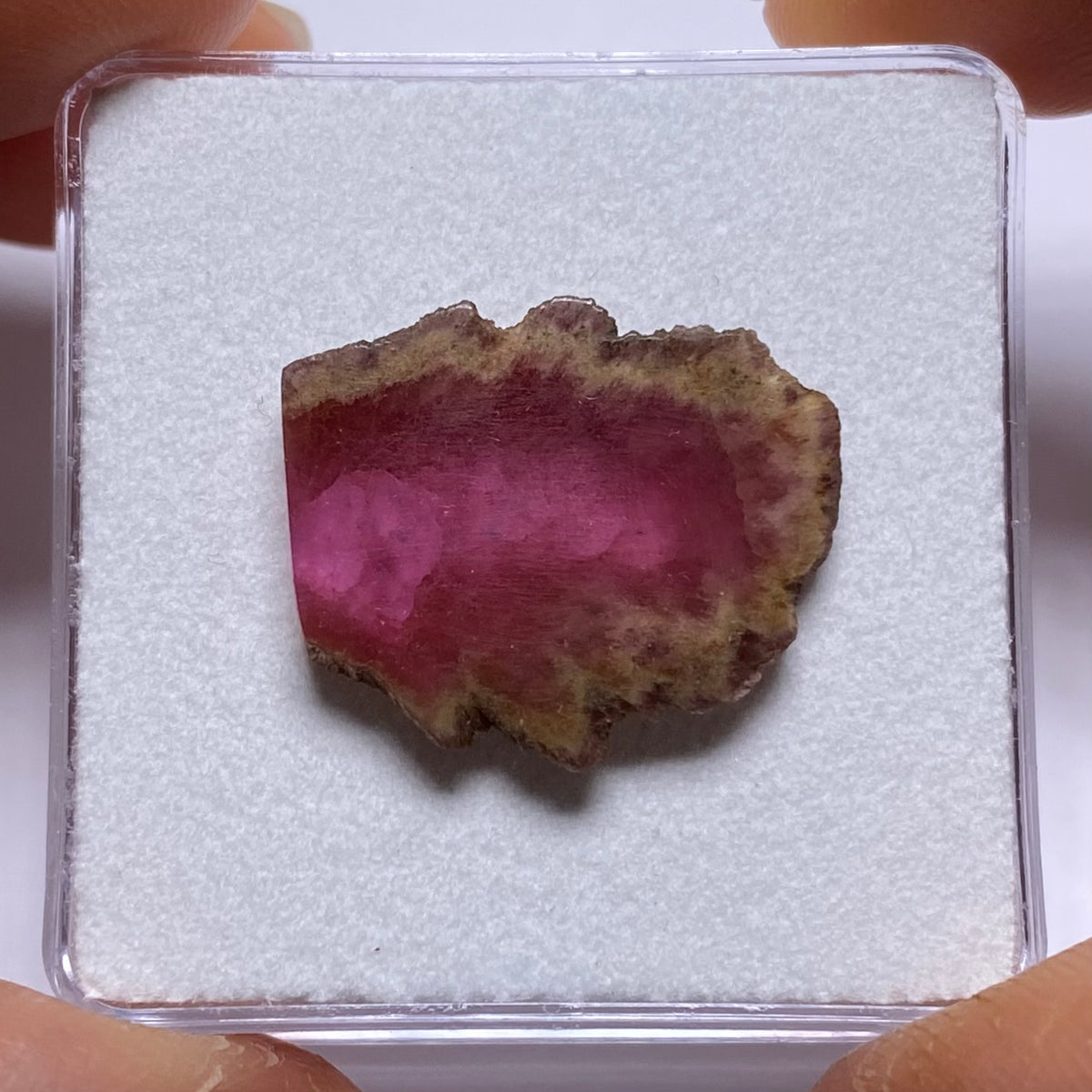 Old-Stock Watermelon Tourmaline Slices - Brazil