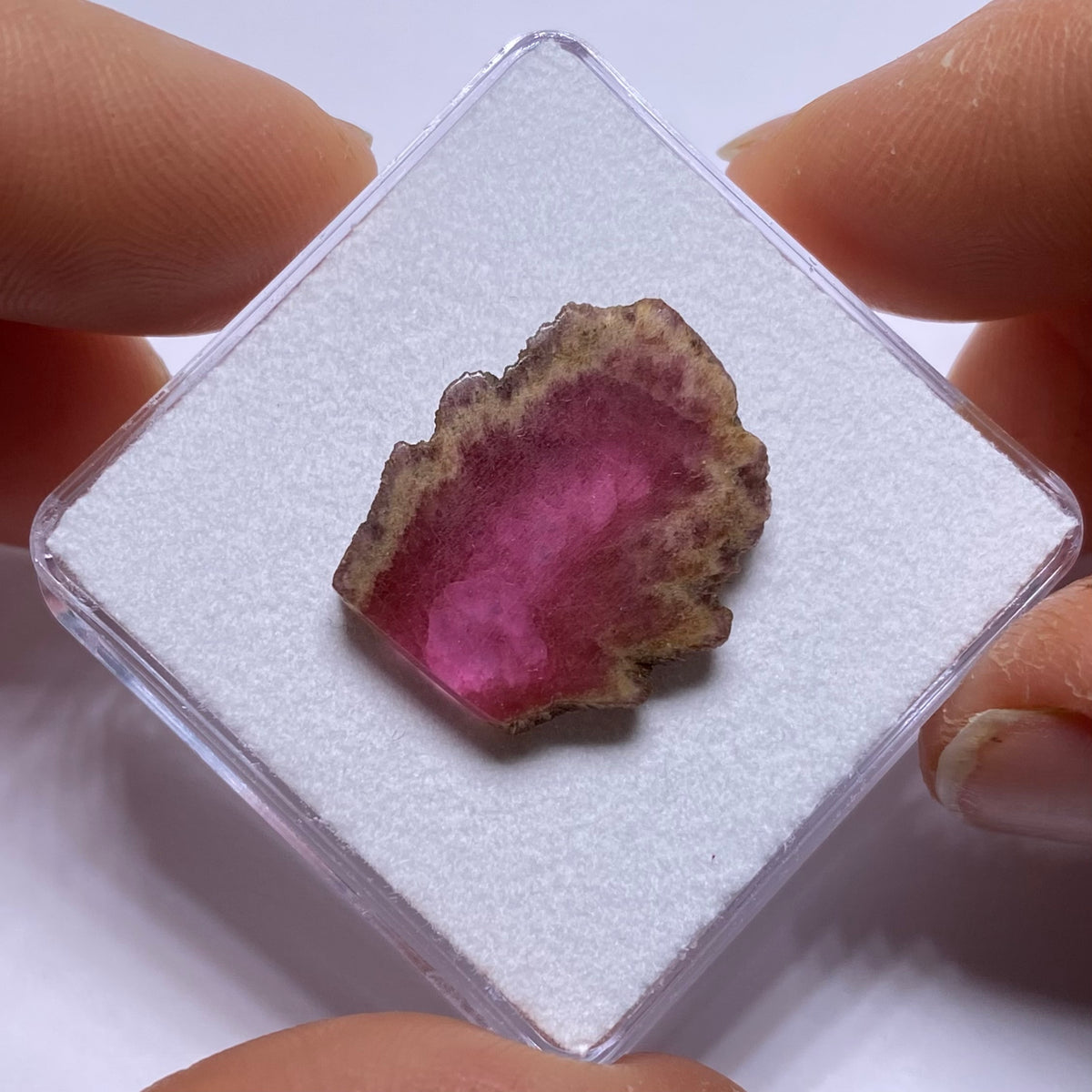 Old-Stock Watermelon Tourmaline Slices - Brazil