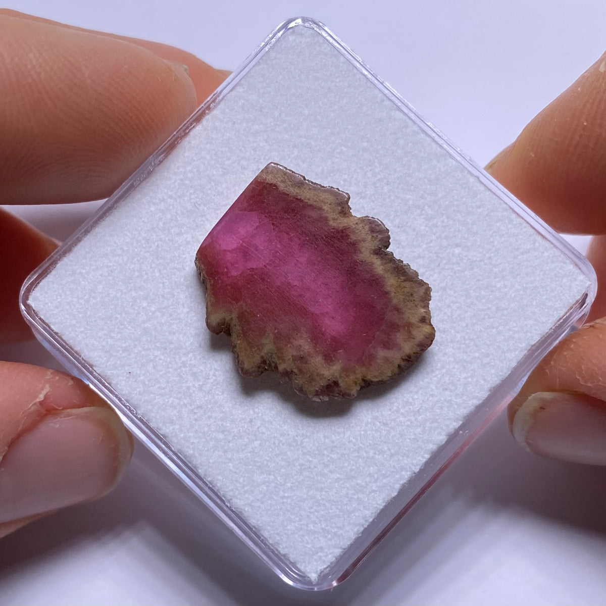Old-Stock Watermelon Tourmaline Slices - Brazil