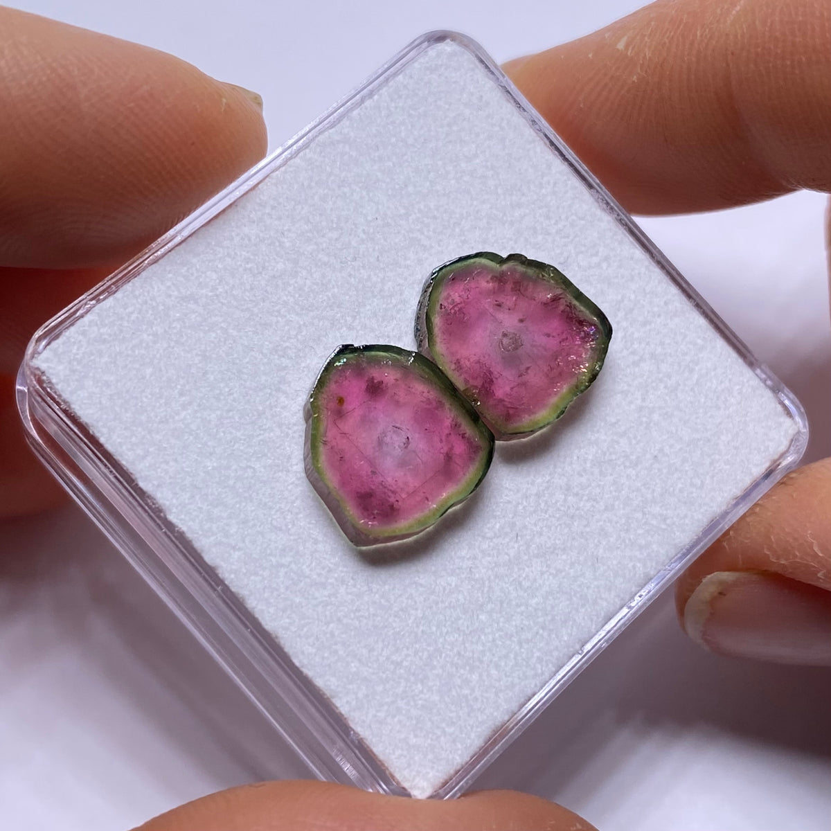 Old-Stock Watermelon Tourmaline Slices - Brazil