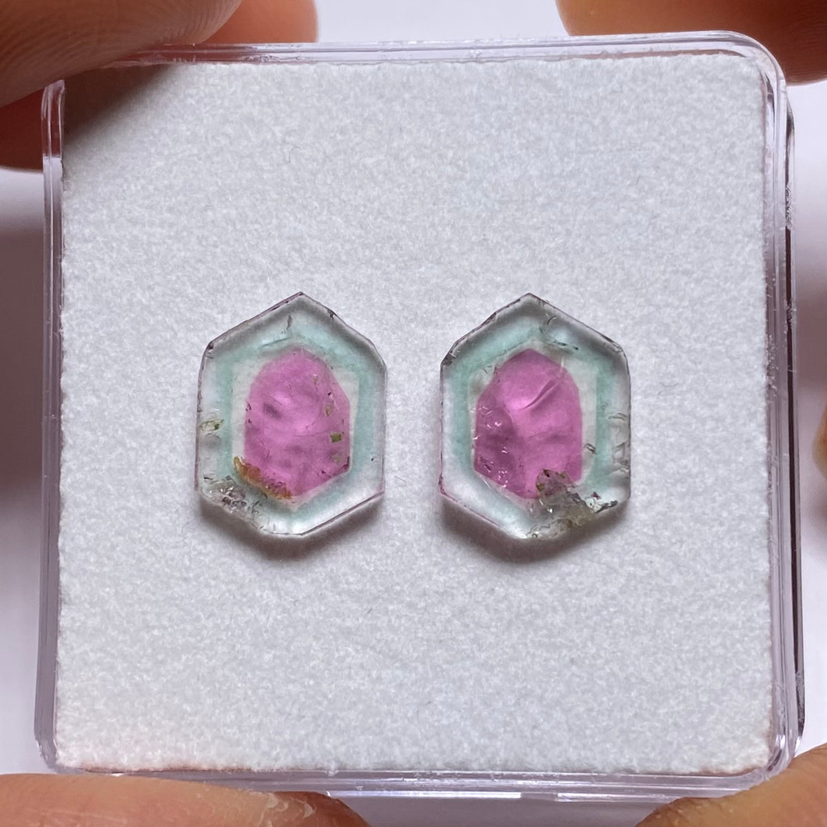 Old-Stock Watermelon Tourmaline Slices - Brazil