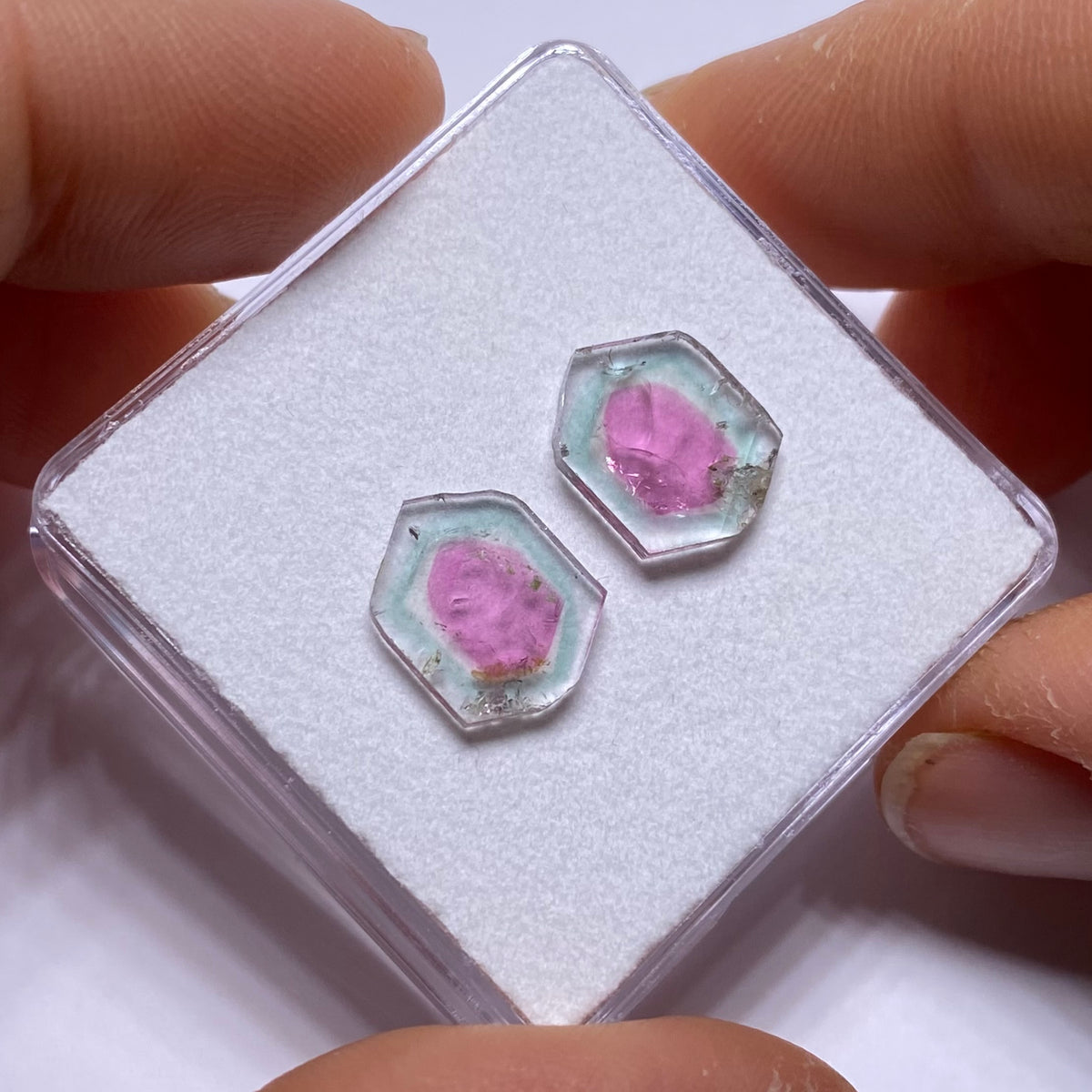 Old-Stock Watermelon Tourmaline Slices - Brazil