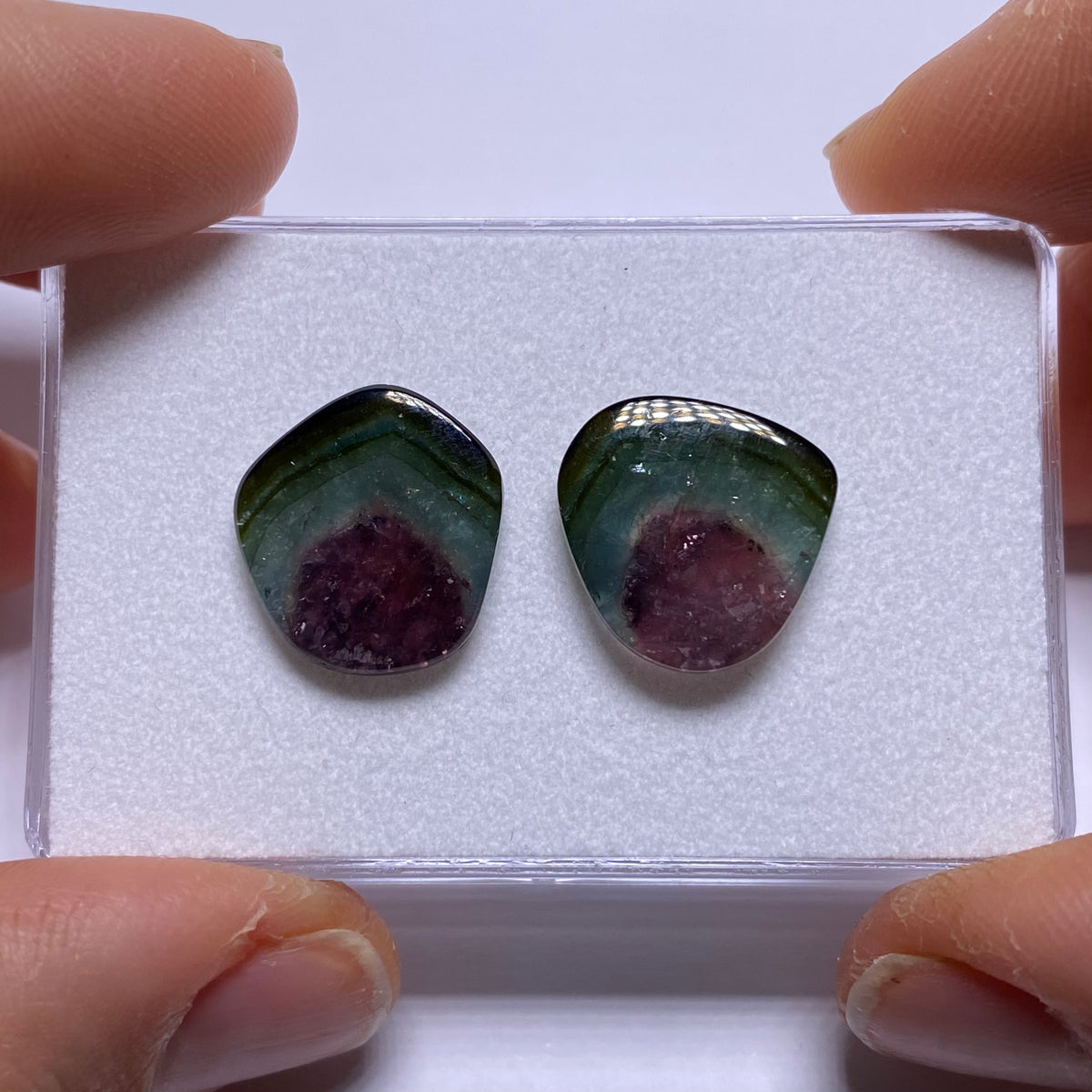 Old-Stock Watermelon Tourmaline Slices - Brazil