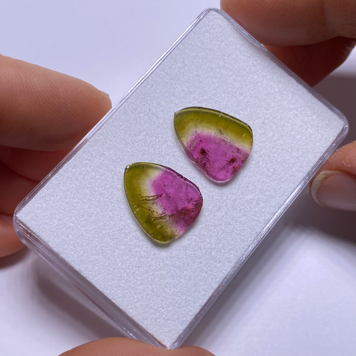 Old-Stock Watermelon Tourmaline Slices - Brazil