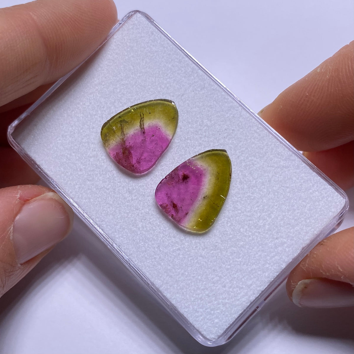 Old-Stock Watermelon Tourmaline Slices - Brazil