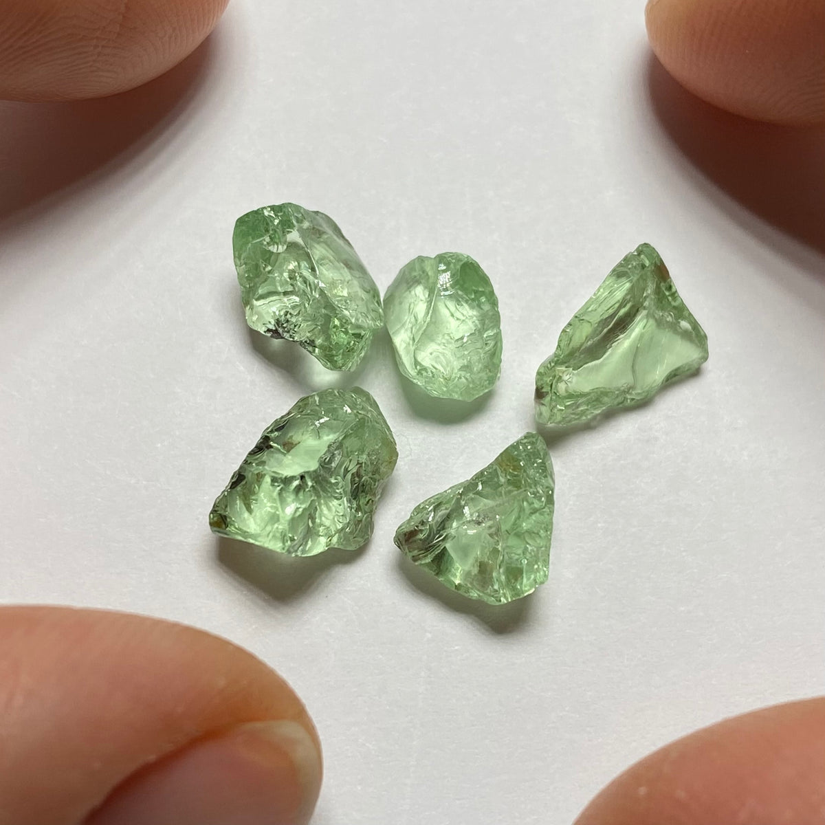 Merelani Mint Garnets