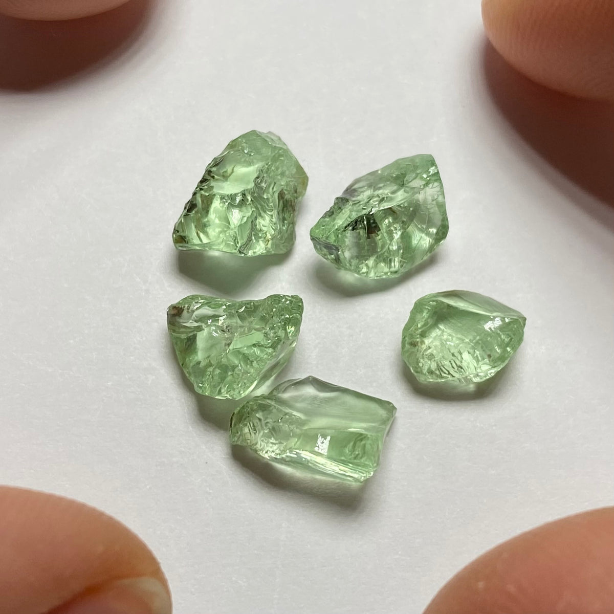 Merelani Mint Garnets