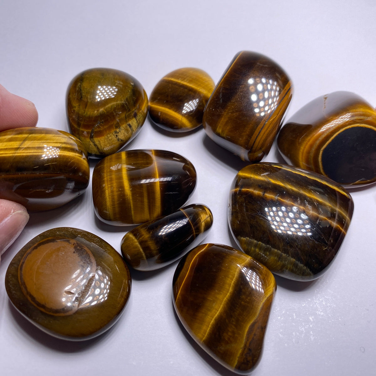 Tigers-Eye