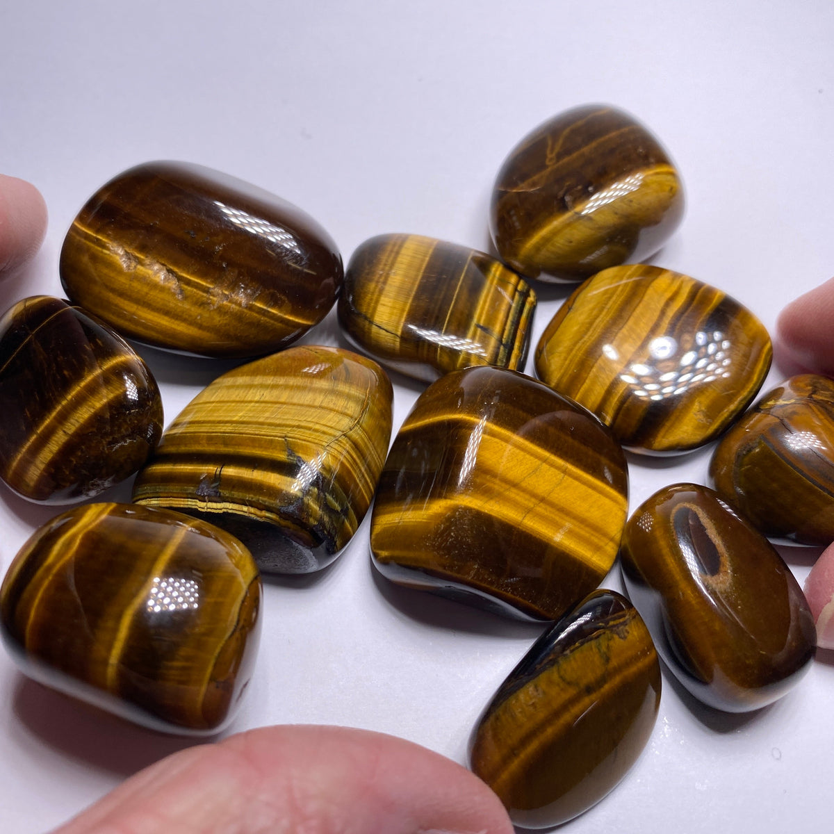 Tigers-Eye