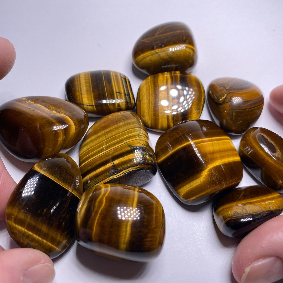 Tigers-Eye