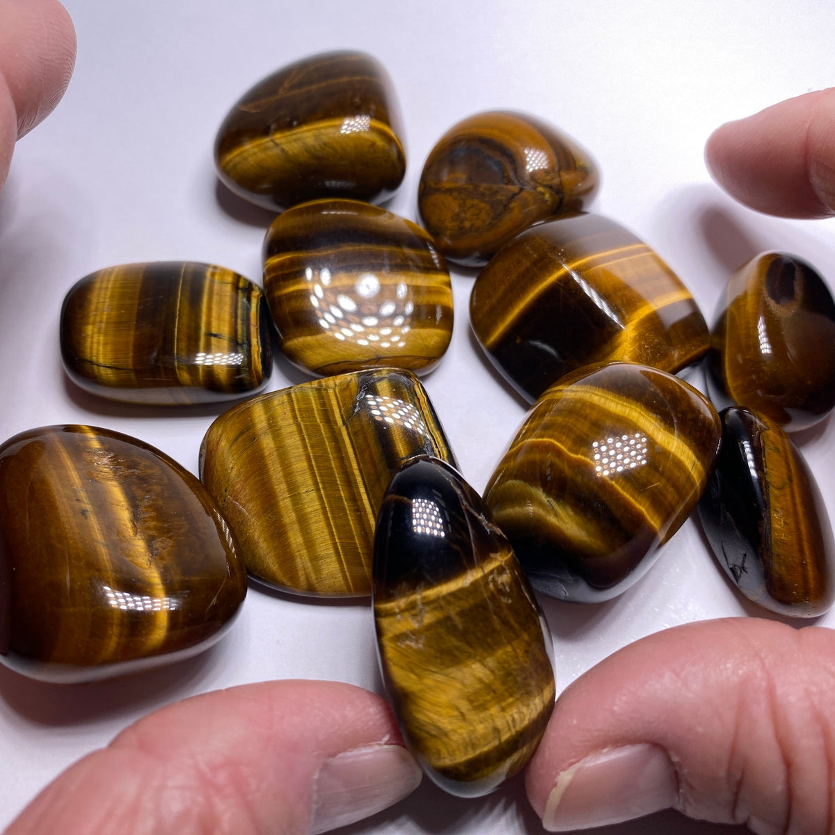 Tigers-Eye