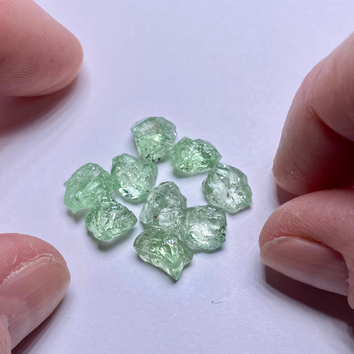 Merelani Mint Garnets