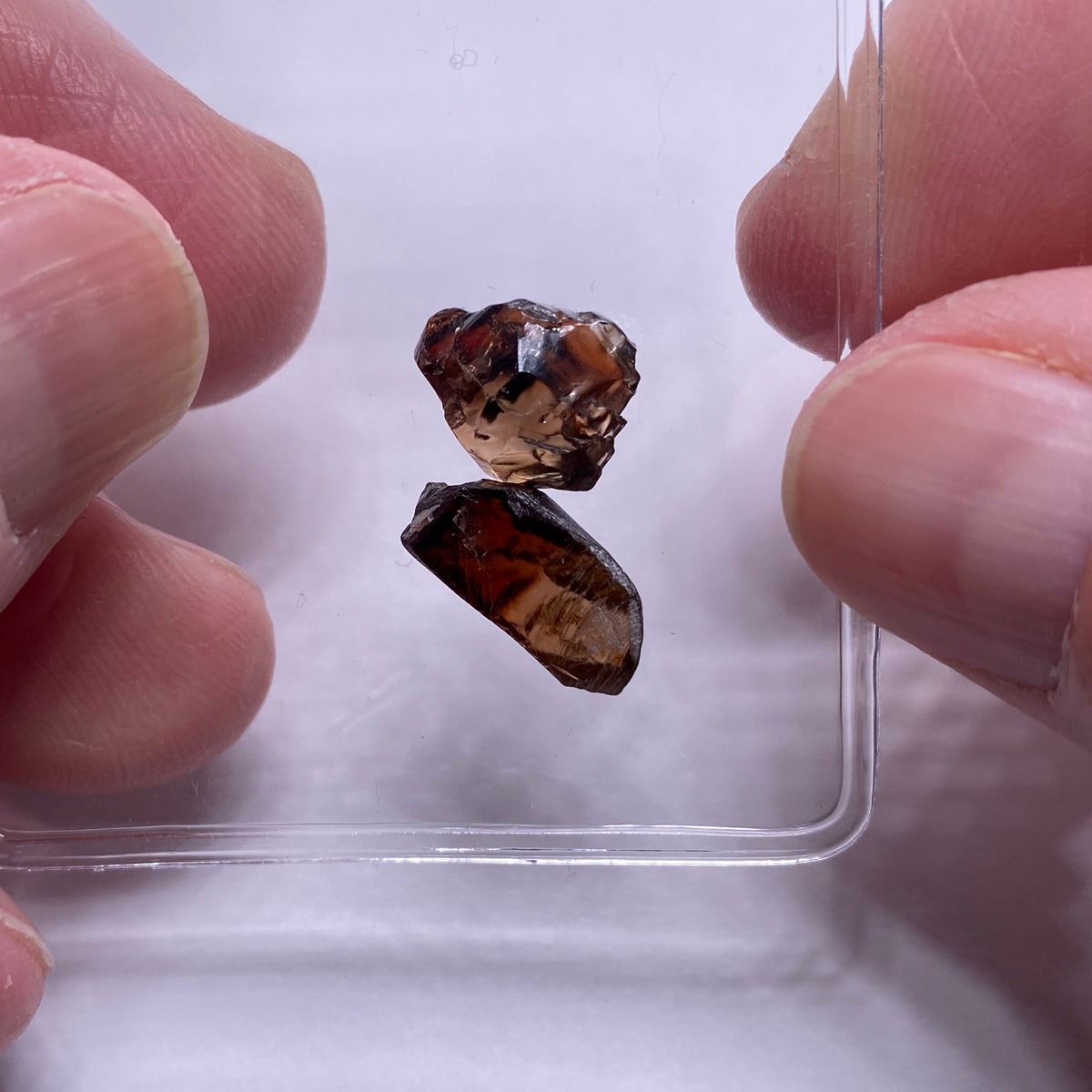 Bi-Color Cambodian Zircon