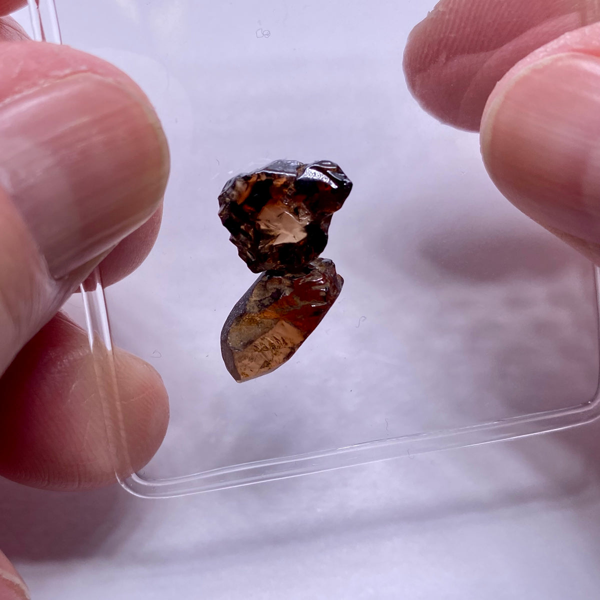 Bi-Color Cambodian Zircon