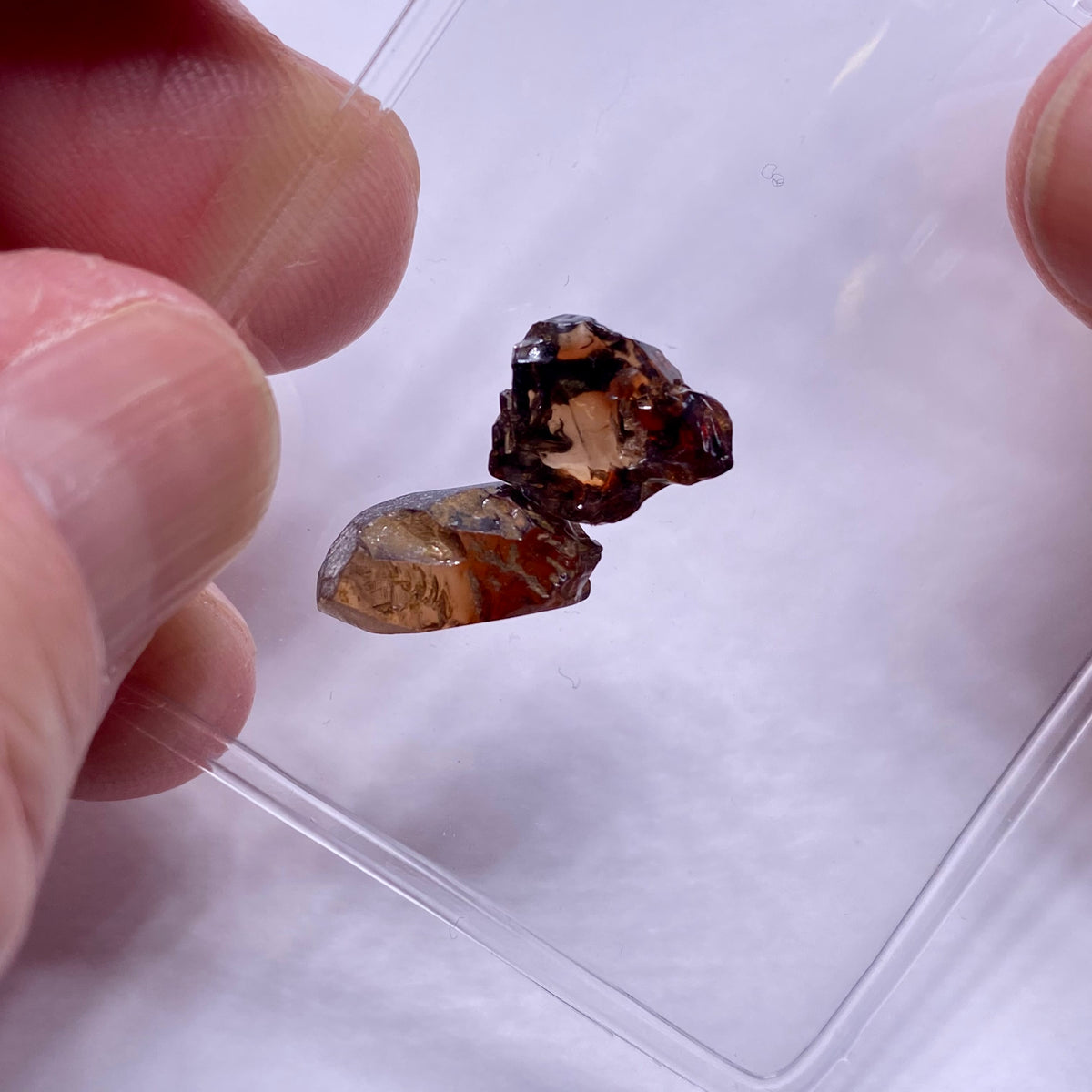 Bi-Color Cambodian Zircon