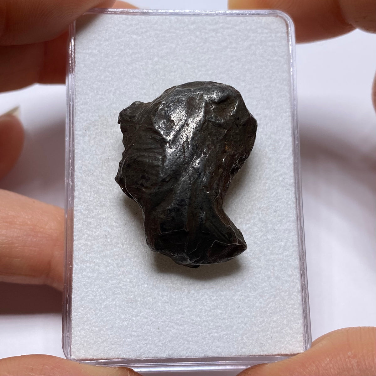 Sikhote-Alin Meteorite - Russia