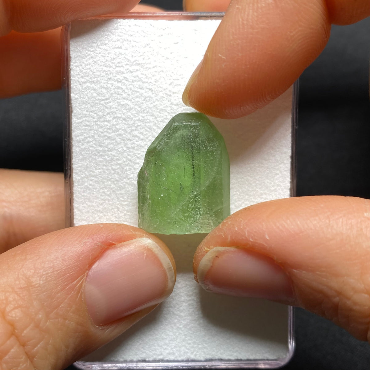 Peridot Crystal with Ludwigite - Pakistan