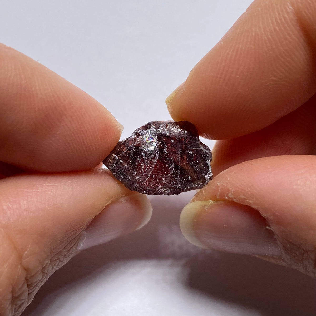 Mozambique Zircon