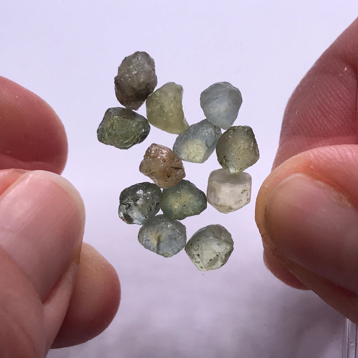 Montana Sapphires
